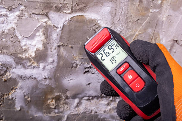 Trusted Sparta, NC Mold Removal Experts