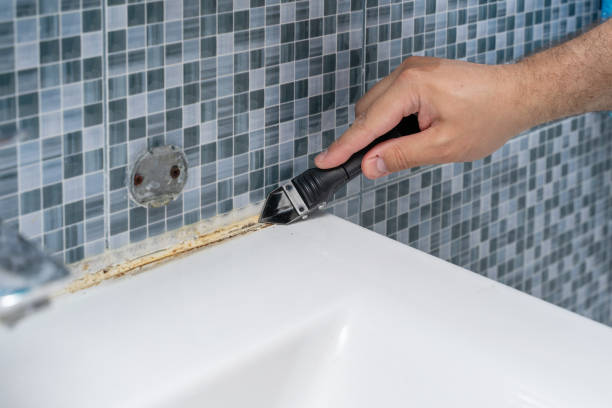 Best Residential Mold Removal  in Sparta, NC