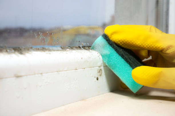 Water Damage Restoration in Sparta, NC