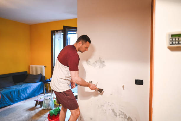 Best Local Mold Removal Service  in Sparta, NC